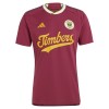 Original Fußballtrikot Portland Timbers Ausweichtrikot 2024-25 Für Herren